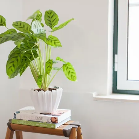 公寓 Martim Moniz - By Lu Holidays *