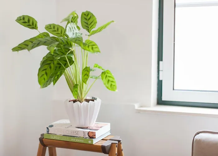 Διαμέρισμα Martim Moniz - By Lu Holidays *